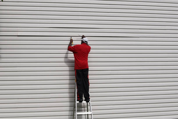 Best Insulated Siding Installation  in Apison, TN